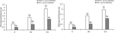 Effect of arbuscular mycorrhizal fungi on the responses of Ageratina adenophora to Aphis gossypii herbivory